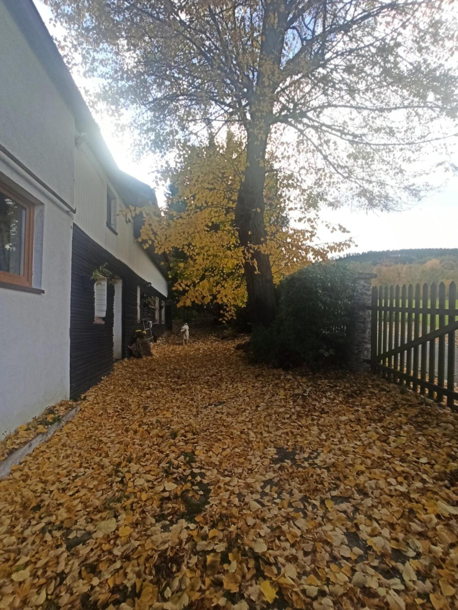 Markowy Dom Privatunterkunft
